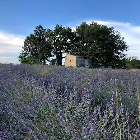 Cabanon Du Berger Villa Saignon Dış mekan fotoğraf
