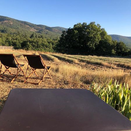 Cabanon Du Berger Villa Saignon Dış mekan fotoğraf